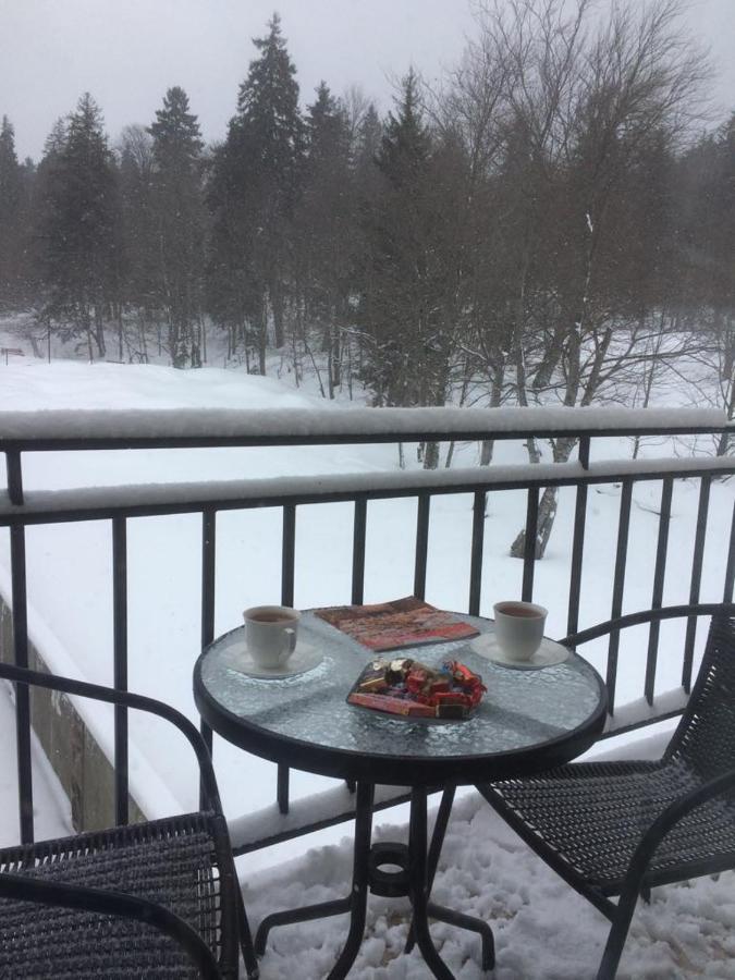 Tea Apartment Bakuriani Kültér fotó